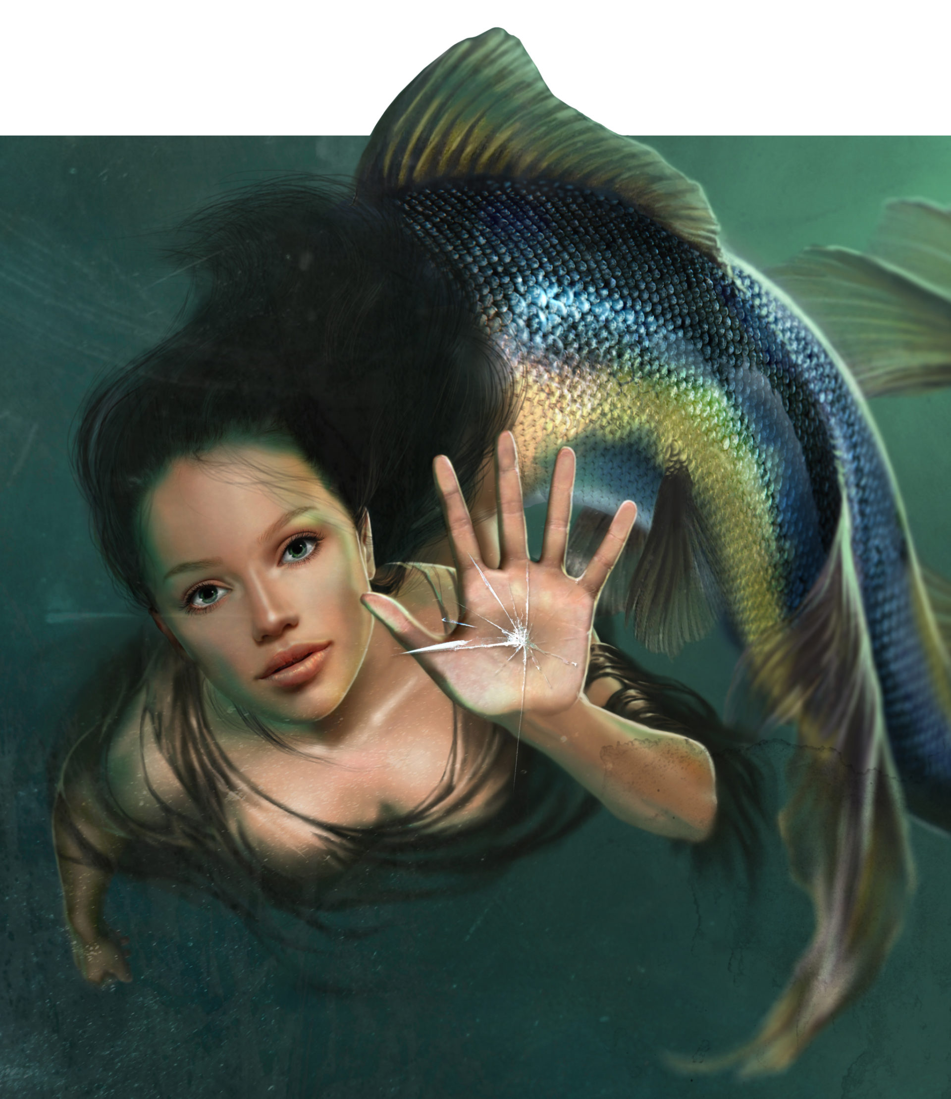 Illustrazione digitale, artwork, per libri e giochi di ruolo, progettazione personaggi fantastici - Mermaid, sirena